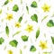 Seamless cucumber pattern with yellow flowers, leaves and seeds on white. ripe cucumber fruit endless vector background