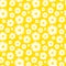 seamless daisy background and pattern vector illustration