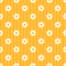 seamless daisy background and pattern vector illustration