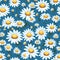 Seamless daisy banner for social media banner