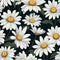 Seamless daisy banner for social media banner