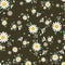 Seamless daisy floral pattern, Beautiful daisy floral, bloomy plant grass decor, illustration , Vector