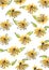 Seamless daisy pattern