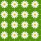 Seamless daisy pattern