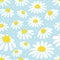 Seamless daisy pattern. Vector background with white chamomiles