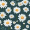 Seamless daisy wallpaper for dreamy background