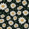 Seamless daisy wallpaper for dreamy background