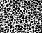 Seamless dalmatian pattern