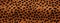 Seamless design, leopard fur, seamless wildlife leather texture,