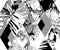 Seamless diamond pattern Tropical birds palms flowers. Grunge ink style.
