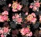 Seamless Digital Flower Pattern - Beautiful Textile Design Black Background