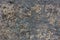 Seamless dirty wall texture