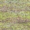 Seamless distressed mottled tie dye woven texture background.Distressed boho blur washed pattern. Blotched aged lime