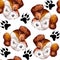 Seamless doggy watercolor pattern of puppy black paw prints and portraits of white with brown puppy jack russell terrier heads on