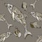 Seamless dolphin pattern