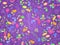 Seamless doodle floral pattern background