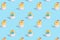 . seamless easter pattern. Knitted chicken on a blue background. Blank for festive packaging