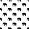 Seamless elephant pattern on white