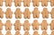 Seamless Endless pattern of baked gingerbread man cookies isolated on white