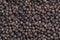 Seamless endless pattern of black pepper corn