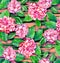 seamless exotic floral pattern, pink camellias and tropical leaves on striped coral background.