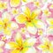 Seamless exotic pattern with flowers plumeria