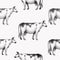 Seamless farm vector pattern. Graphical cow silhouette, hand drawn vintage illustrations. Retro farm animals background.