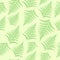 Seamless fern background