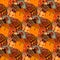 Seamless festive pattern with bright hand drawn pumpkin. Thanksgiving symbol.