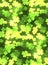Seamless festive texture with a happy four-leaf clover