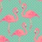 Seamless flamingo bird pattern. hand drawn vector