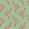 Seamless flamingo bird pattern. Repeated pink animal on green