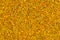 Seamless flat texture and background of yellow bee pollen granules