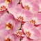 Seamless floral background. Flowers phalaenopsis Close up.