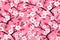 Seamless floral blossom flowers spring nature sakura wallpaper texture illustration pattern design background