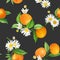 Seamless floral mandarin pattern, Citrus tropic fruits, leaves, daisy flowers background. Hand drawn illustration