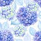 Seamless floral pattern of bouquets of blue-yellow and lilac hydrangea with leaves on white background. Botanical background. Hand