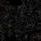 Seamless floral pattern with copper gold shiny outline roses on a dark background