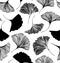 Seamless floral pattern with Ginkgo leaves. Vector graphic background.