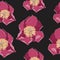 Seamless floral pattern with light-magenta peonies. Peony flowers for your design. Black background.