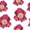 Seamless floral pattern with light-magenta peonies. Peony flowers for your design. White background.