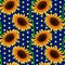 Seamless floral pattern with orange sunflower flowers