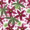 Seamless floral pattern. Passion flowers and magenta flowers on white background.