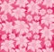 Seamless floral pattern. On a pink background, the flowers are edelweiss, water lily, lotus. For postcard, invitations, textiles.