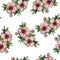 Seamless floral pattern with pink peachy flower bouquet, spring and summer floral background, hand made design for banner, poster