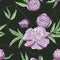 Seamless floral pattern with pink peonies with golden geometric figure.