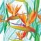 Seamless floral pattern with Strelitzia