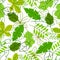 Seamless floral pattern with stylized green leaves. Spring or summer foliage