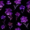 Seamless Floral Pattern violet and purple hand painted flowers on dark