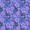 Seamless floral pattern. Wallpaper seamless violet blue flower p